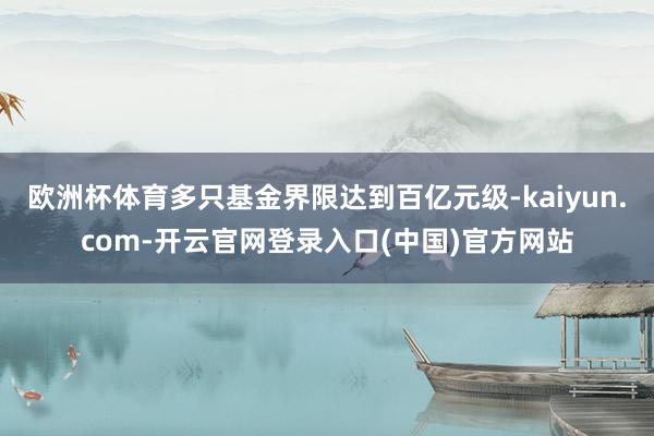 欧洲杯体育多只基金界限达到百亿元级-kaiyun.com-开云官网登录入口(中国)官方网站