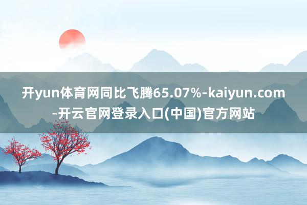 开yun体育网同比飞腾65.07%-kaiyun.com-开云官网登录入口(中国)官方网站