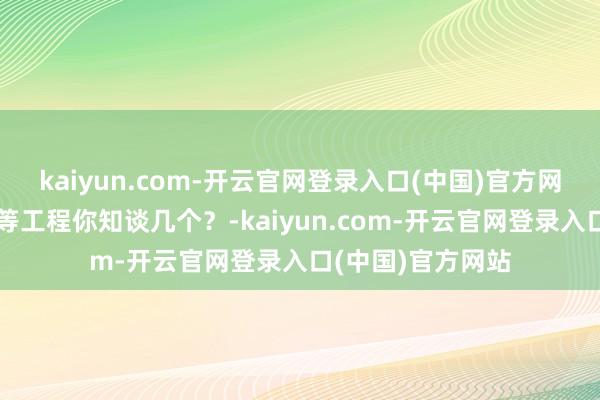 kaiyun.com-开云官网登录入口(中国)官方网站触动！这些超等工程你知谈几个？-kaiyun.com-开云官网登录入口(中国)官方网站