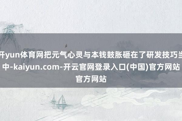 开yun体育网把元气心灵与本钱鼓胀砸在了研发技巧当中-kaiyun.com-开云官网登录入口(中国)官方网站